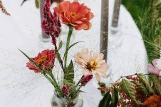 Blums Flower Farm - 10