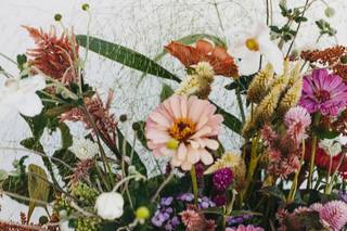 Blums Flower Farm - 11