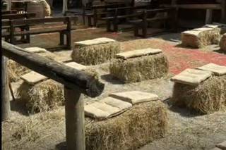 Cowboys Guest Ranch - 6
