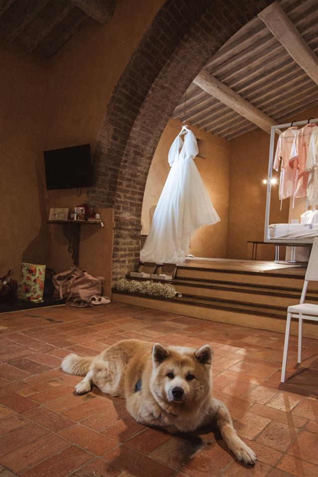 Monastero di Sant'Anna in Camprena - 4