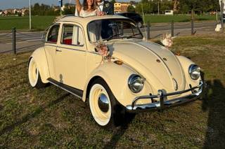 The Wedding Beetle - 7