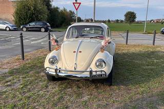 The Wedding Beetle - 8