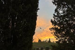 Tenuta Riseccoli - 10