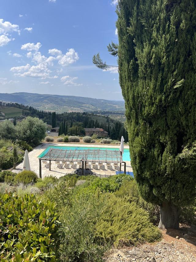 Tenuta Riseccoli - 2
