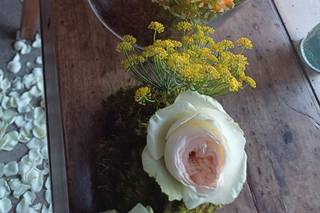 Sintonia Flowers - 31