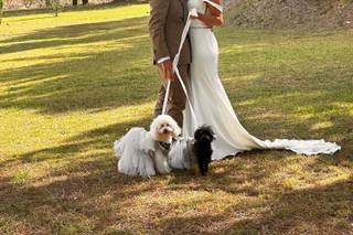 Luciana Dog Wedding Sitter - 8