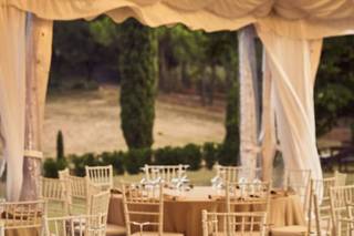 Fattoria del Turricchio - 1