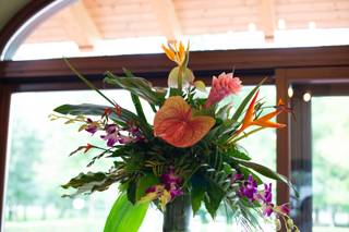 Eventi di Mara e Mauro - 20