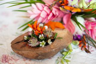 Eventi di Mara e Mauro - 21