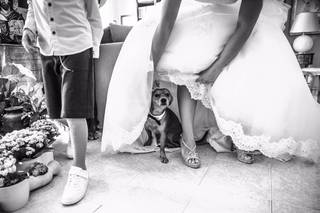 Adolfo Maciocco Photography - 18