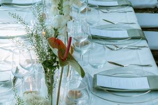 Pagano Floral studio - 7