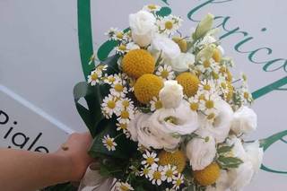 Riale Floricoltura - 5