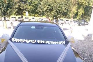 Riale Floricoltura - 6