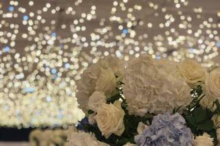 Fontanella Flowers Designer - 25