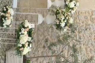 Ciroflowers - 7