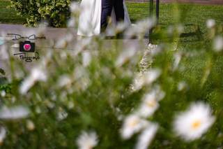 Dario Cromas Fotografo - 6