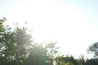 Giardini Della Insugherata - 8