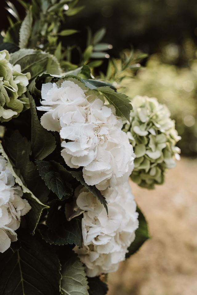 Atelier Senape Flower - 1