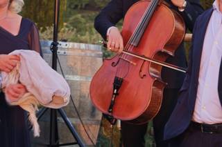 Federico - Cello Experience - 5