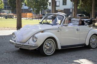 OMG Limousine, Auto d'Epoca e Super Car - 14