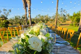 Garden Flowers - 14