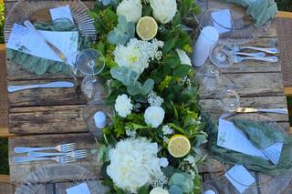 Garden Flowers - 15