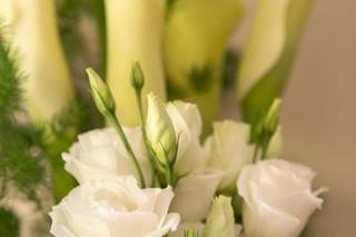 Volar...un fiore per te - 13