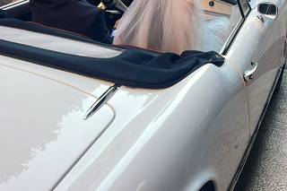 Giulietta for Wedding - 7