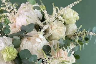 Verdemania - 6