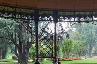 Luxury Noleggio - 6