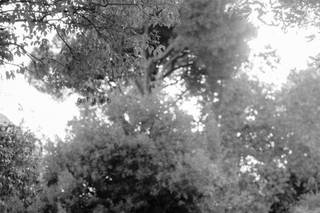 Giulia Santarelli Foto - 6