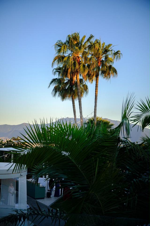 Blue Marlin Club - 2