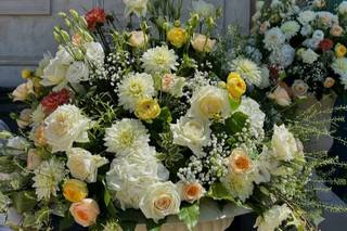 Floralia Sorrento - 5