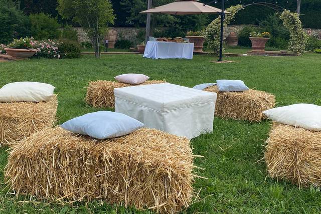 Nel Giardino di Zago 3