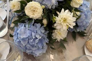 Fontanella Flowers Designer - 24