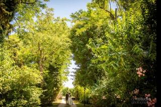 Mirk_ONE di Mercatali Mirko - 10