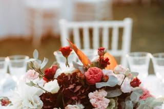 Silvia Galora Photography - 7