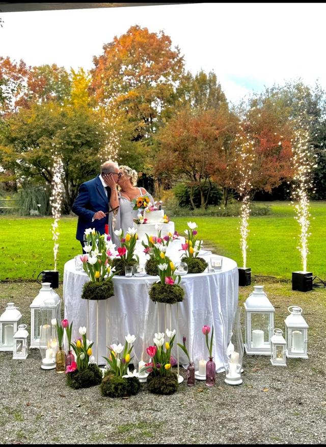 Theaviatordrones - 2