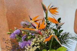 Fiorissimi Group - 13