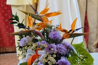 Fiorissimi Group - 14