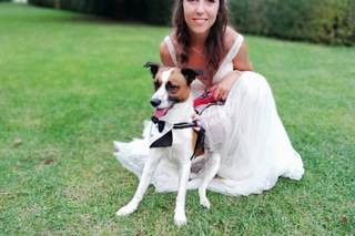 Matrimonio a 6 Zampe - 5