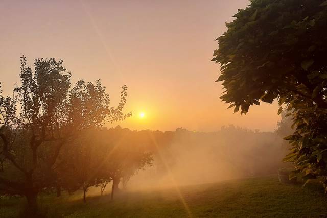 Agriturismo Cascina Papa Mora 4