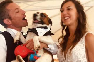 Matrimonio a 6 Zampe - 7