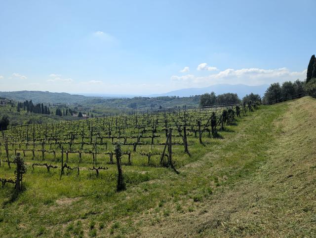 Fattoria di Fubbiano - 4