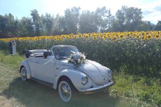 Vintage Wedding - 5