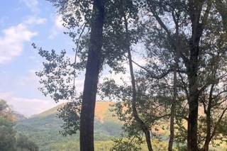 Shakers Bar Catering - 8