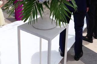 Scalia Fiori - 11