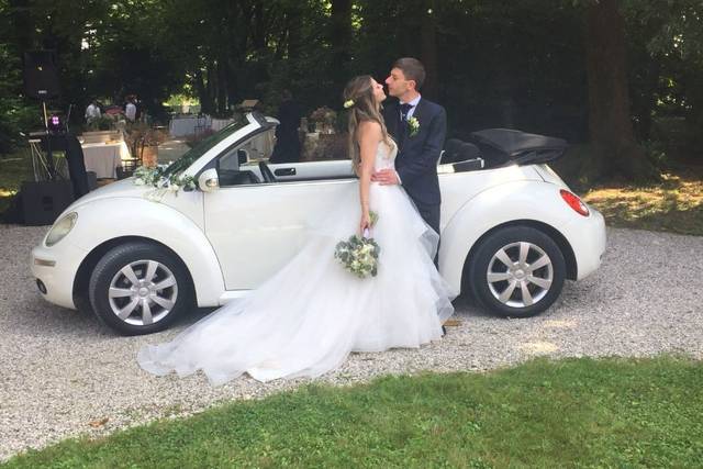 Ivan New Beetle 1