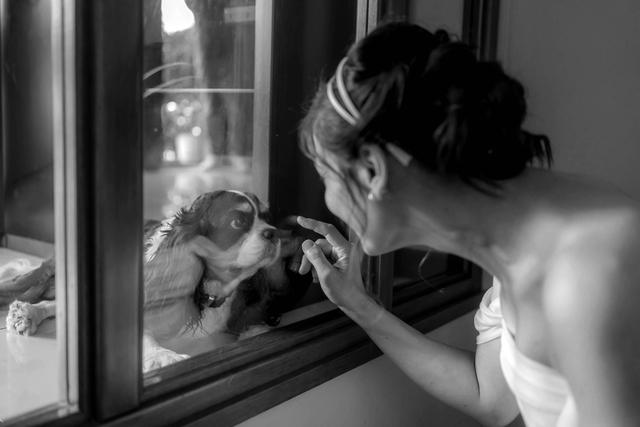 Orizzonte Wedding Film & Fotografia - 1