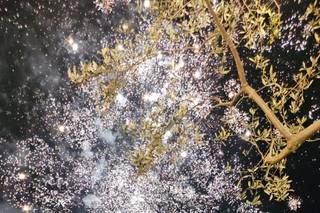Itria Fireworks - 11